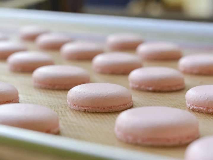 pink macarons | Classpop Shot