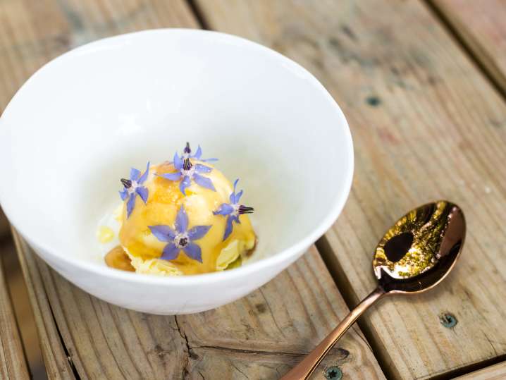 olive oil gelato | Classpop Shot