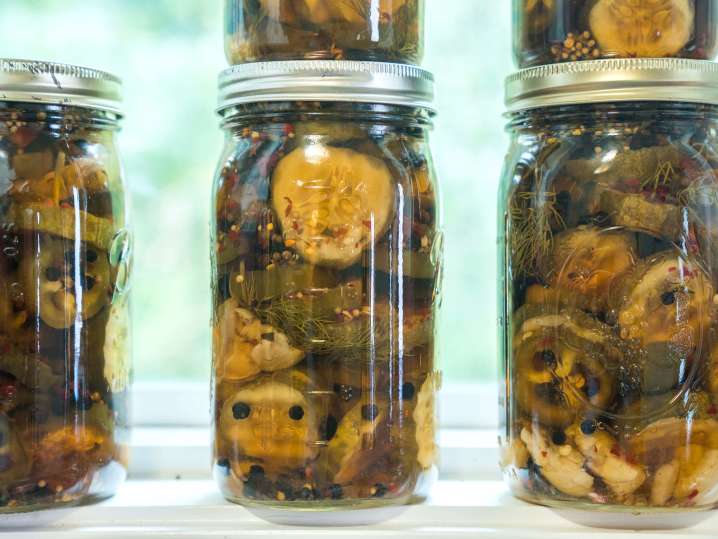 homemade pickles | Classpop Shot