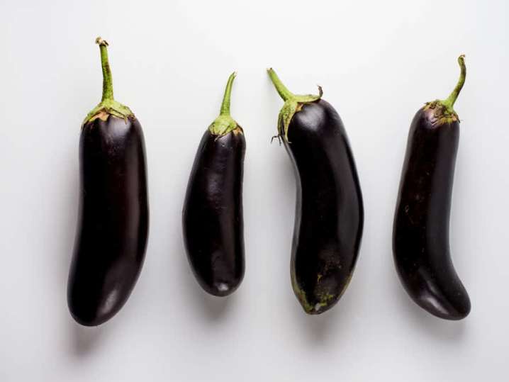 eggplant | Classpop Shot