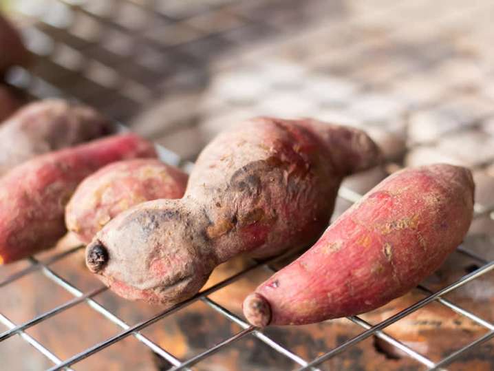 Sweet Potatoes | Classpop Shot