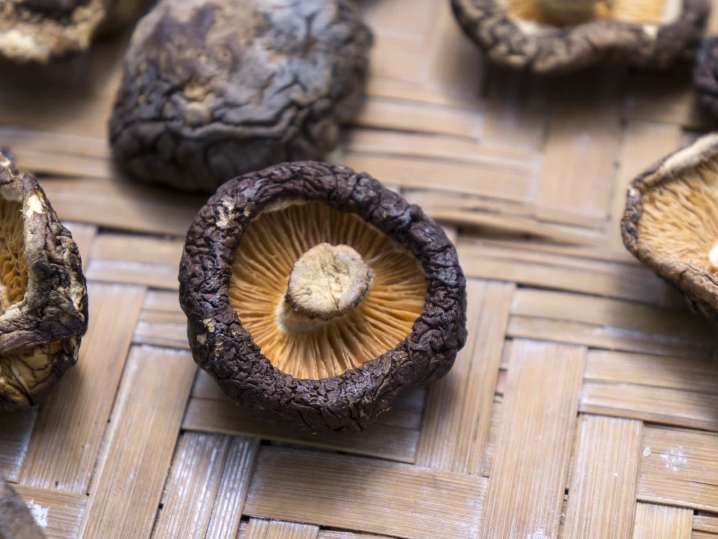 shiitake mushrooms | Classpop Shot