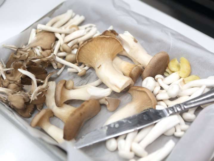 wild mushrooms | Classpop Shot