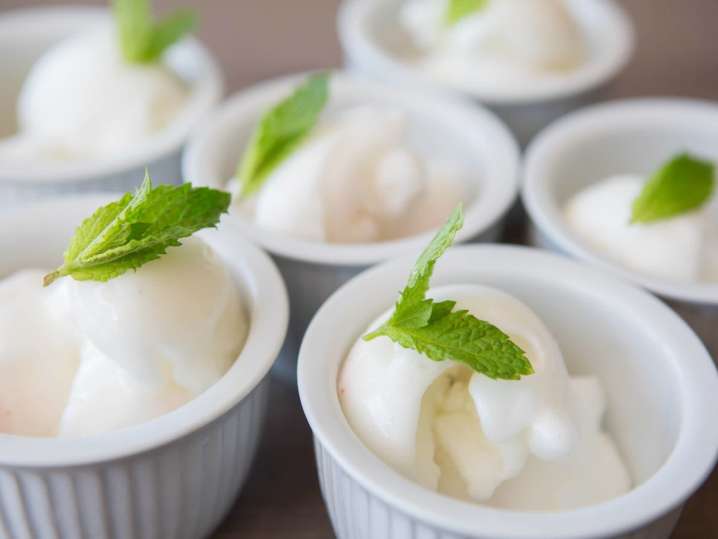 lemon sorbet | Classpop Shot