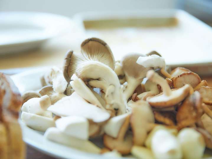 mushrooms | Classpop Shot