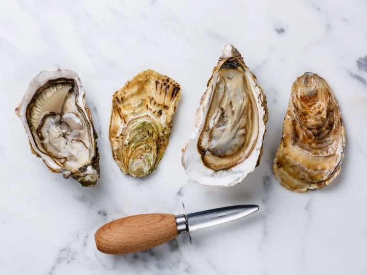 Oysters | Classpop Shot
