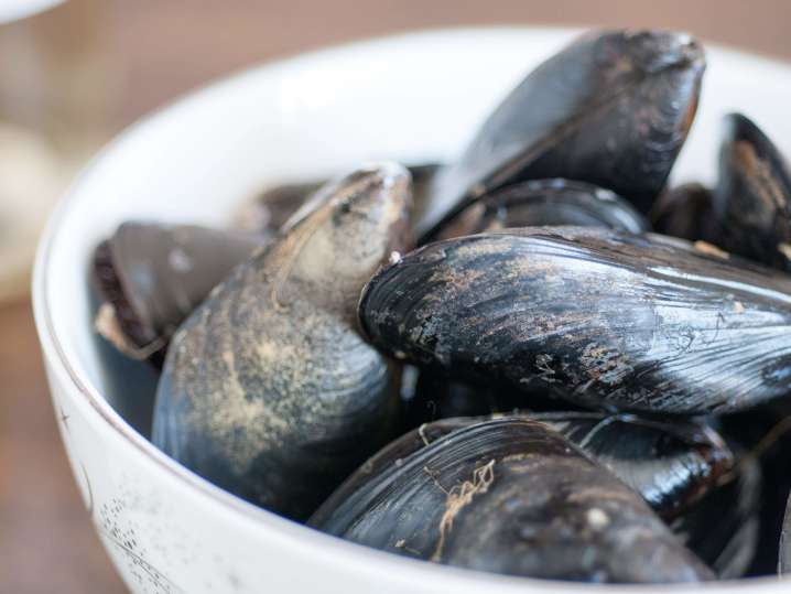fresh mussels | Classpop Shot