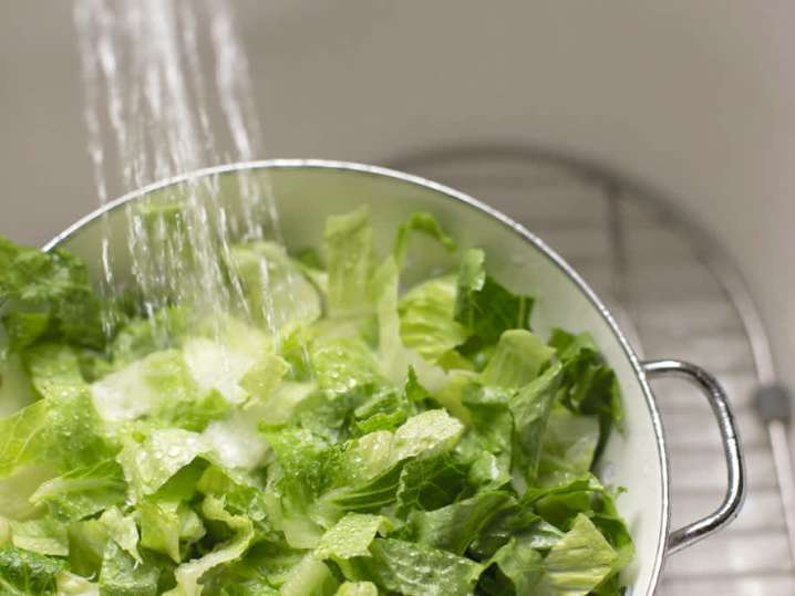 washing fresh romaine lettuce | Classpop Shot