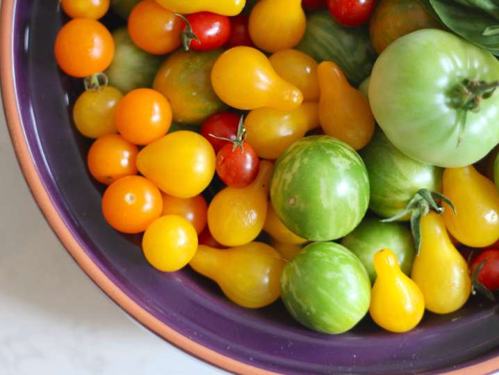 mixed heirloom tomatoes | Classpop Shot