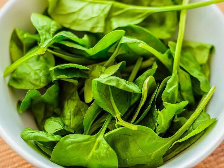 fresh spinach | Classpop Shot