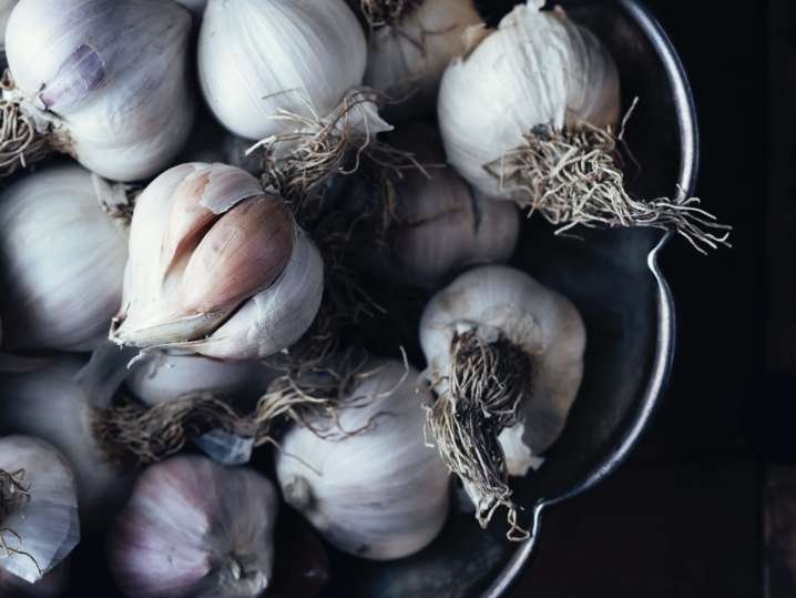 garlic cloves | Classpop Shot