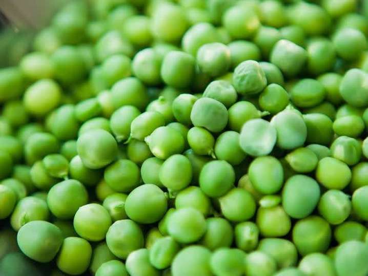 peas | Classpop Shot