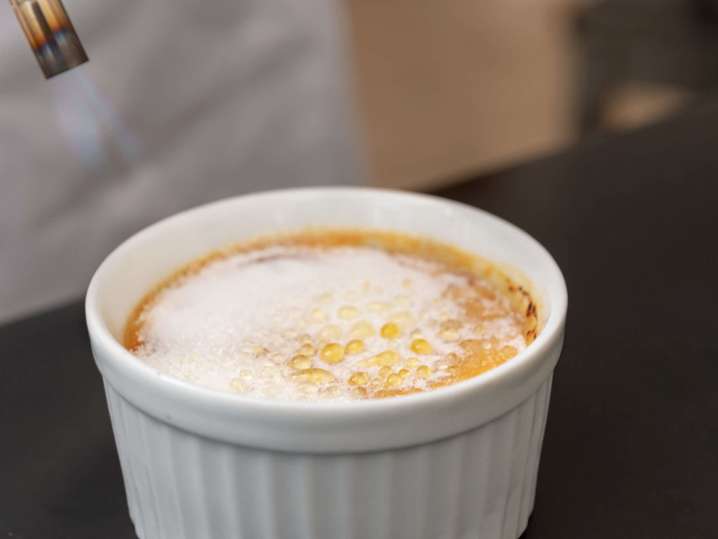 Creme Brulee | Classpop Shot