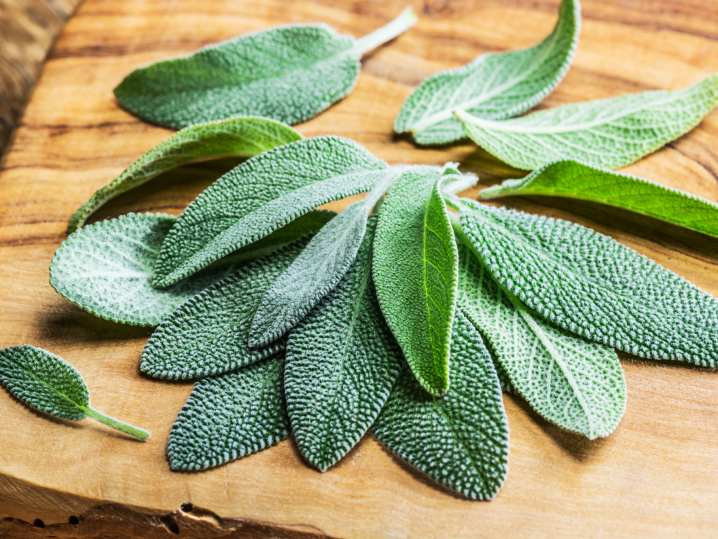 sage leaves on cutting board Shot