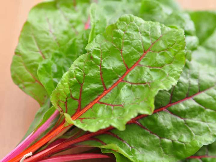 Swiss chard | Classpop Shot