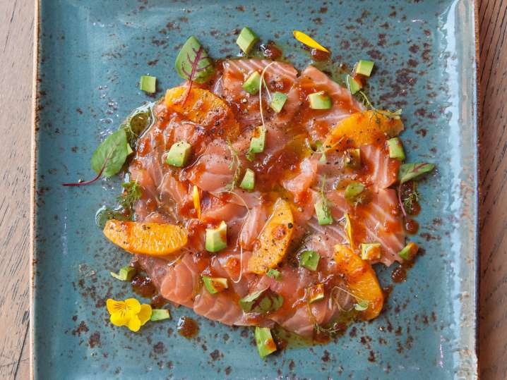 salmon crudo | Classpop Shot