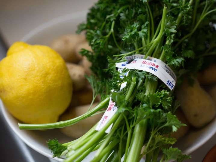 lemon and parsley | Classpop Shot