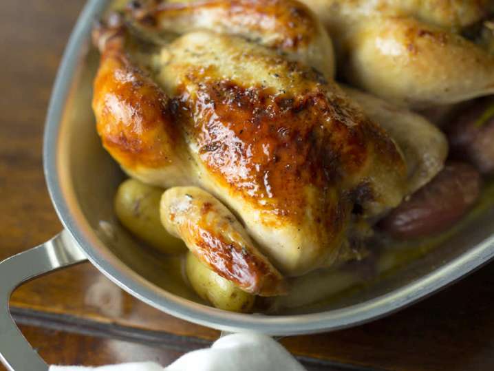 classic roasted chicken | Classpop Shot