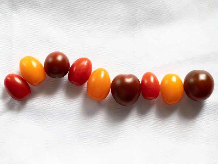 cherry tomatoes | Classpop Shot
