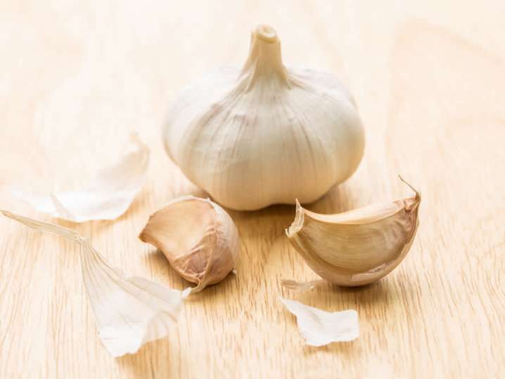 garlic | Classpop Shot