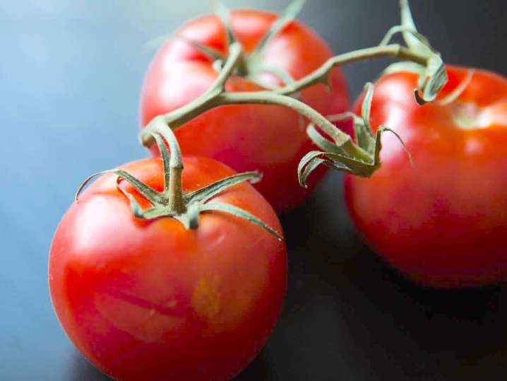 tomatoes | Classpop Shot