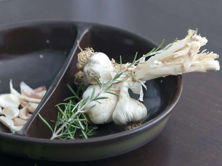 fresh garlic and herbs | Classpop Shot