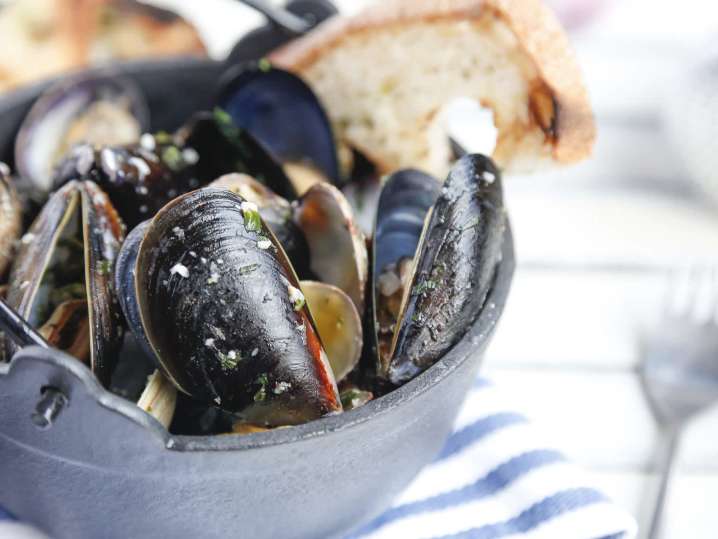 Steamed Mussels Cozymeal | Classpop Shot