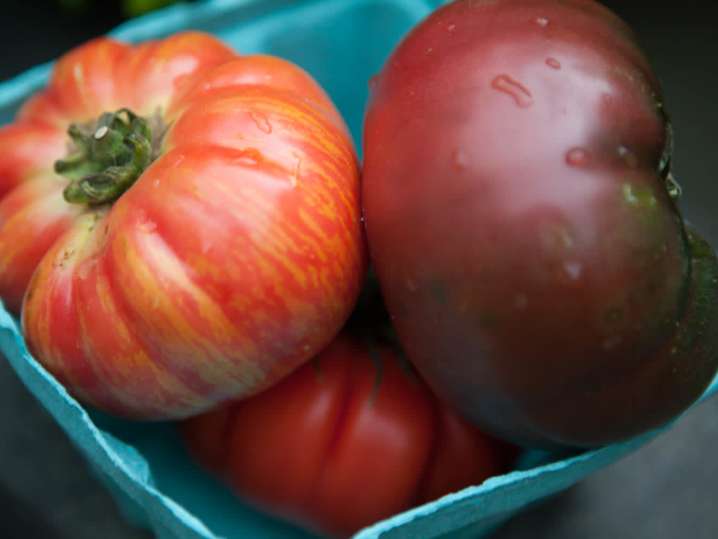 Heirloom tomatoes | Classpop Shot