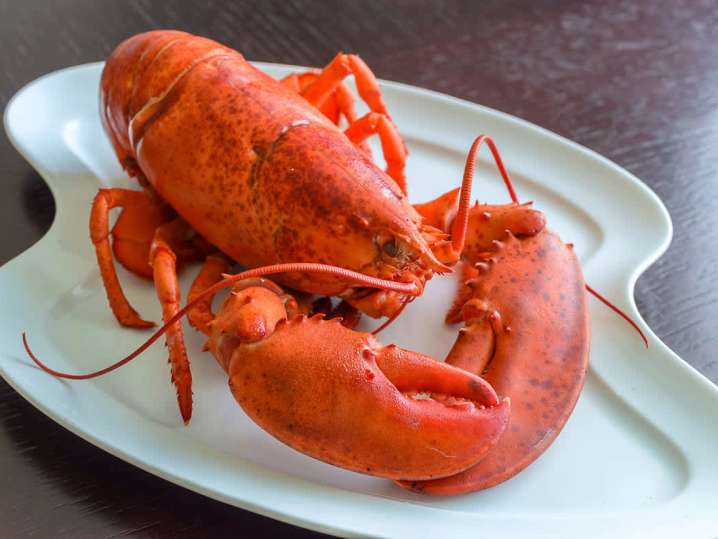 whole lobster | Classpop Shot