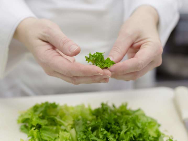 Chef tearing green leaf lettuce | Classpop Shot