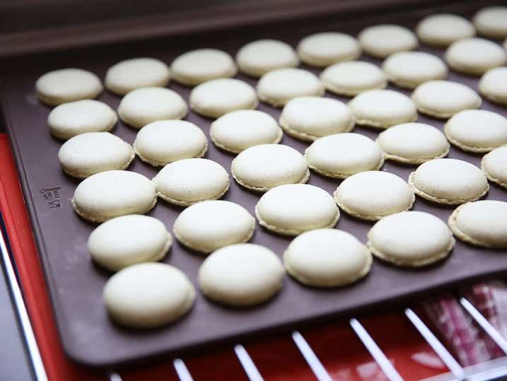 lemon macarons after baking | Classpop Shot