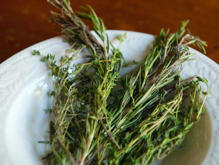 fresh rosemary | Classpop Shot