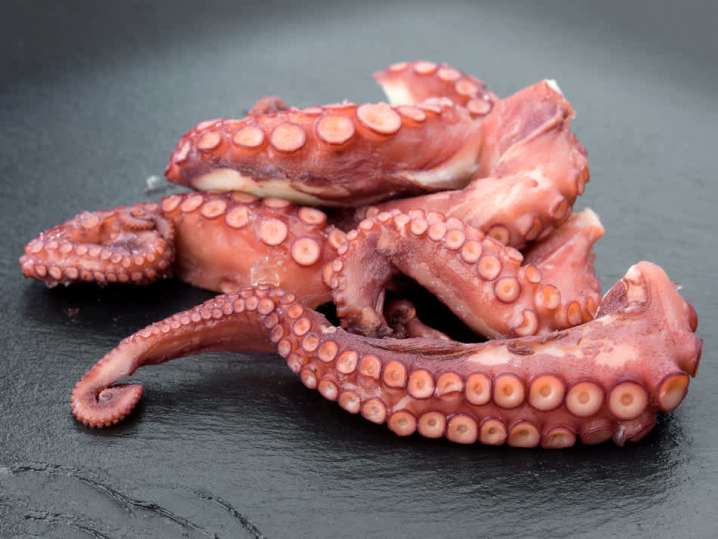 octopus | Classpop Shot