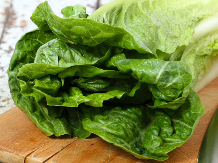 fresh romaine lettuce | Classpop Shot