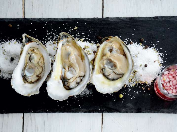 oysters on the half shell | Classpop Shot