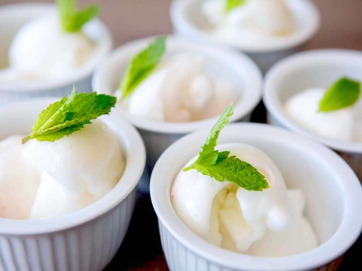 coconut sorbet | Classpop Shot