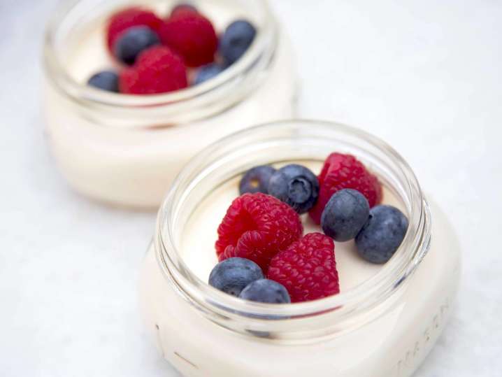 panna cotta with berries | Classpop Shot