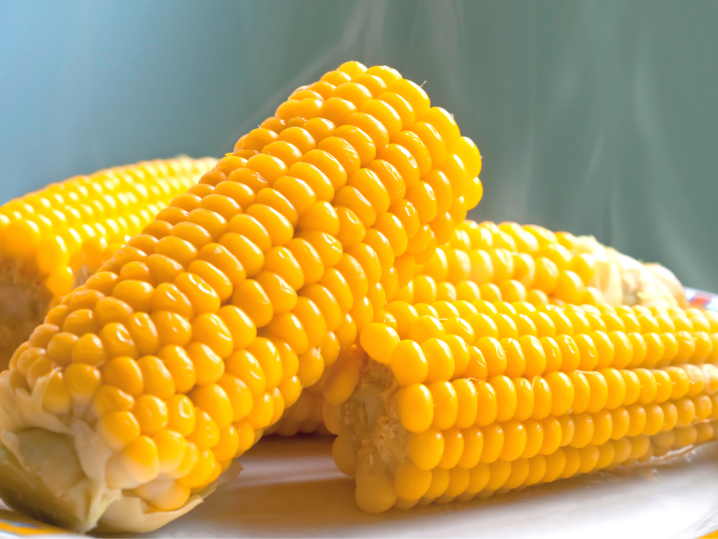 sweet corn on the cob | Classpop Shot