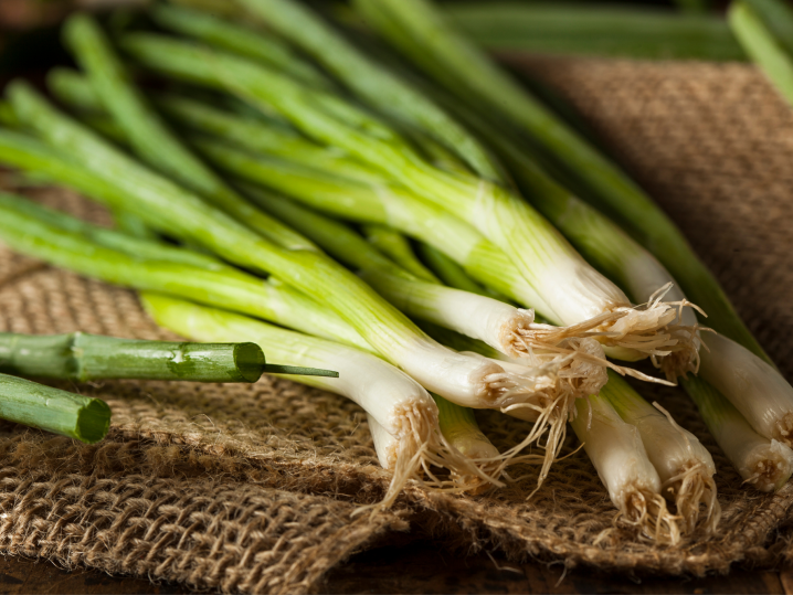 Fort Lauderdale - green onions Shot