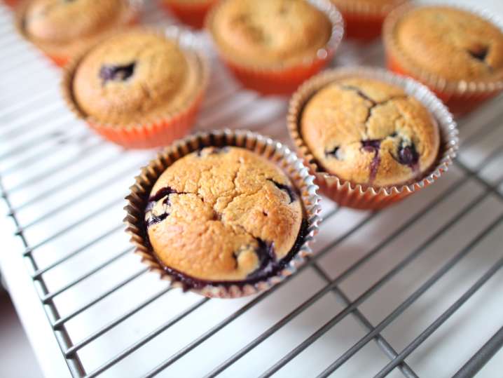 berry muffins | Classpop Shot