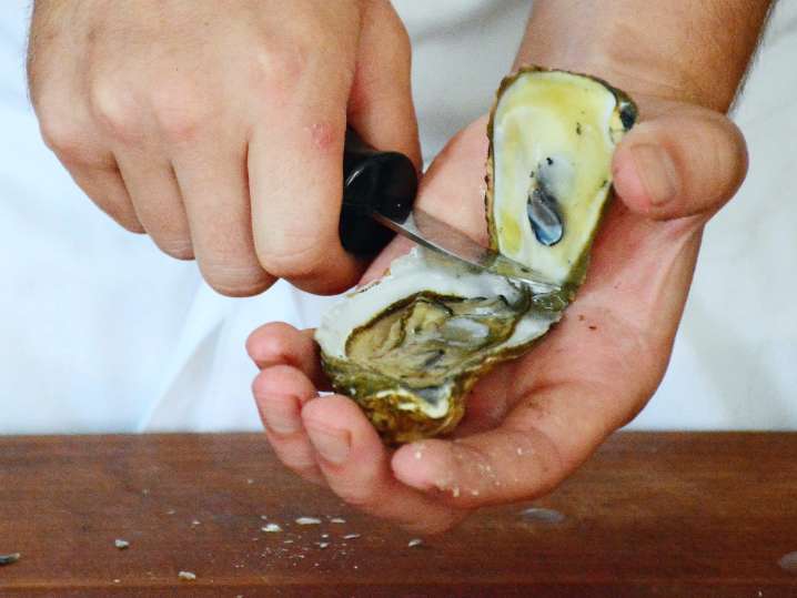 chef shucking oysters | Classpop Shot