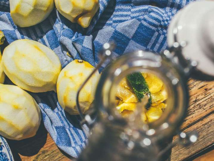 making homemade limoncello | Classpop Shot