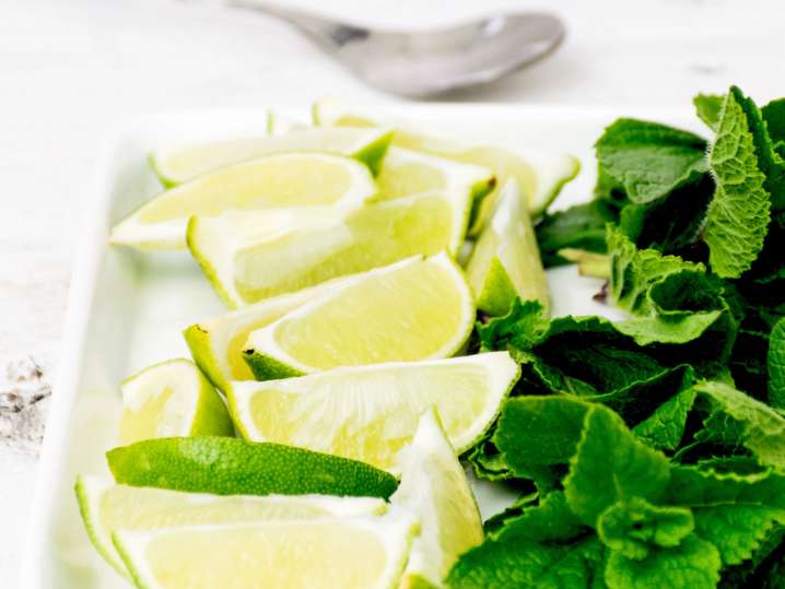 mint leaves and lime slices | Classpop Shot