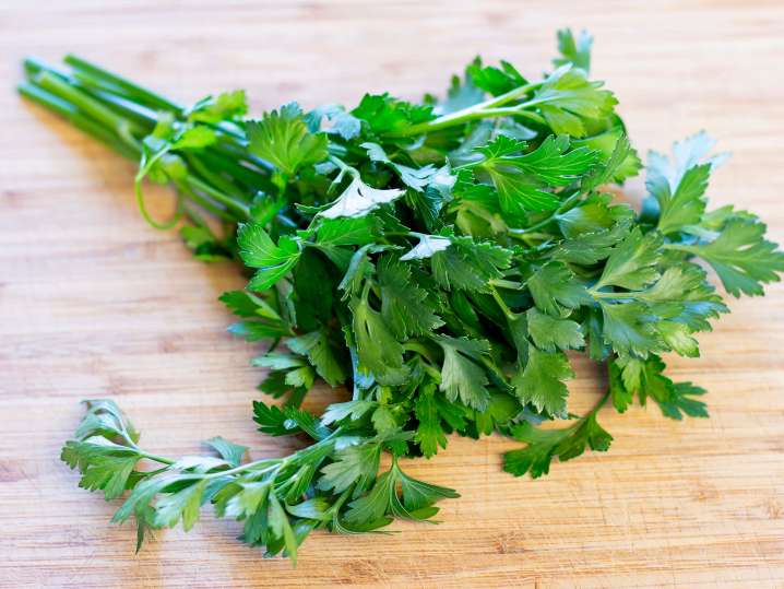 fresh cilantro | Classpop Shot