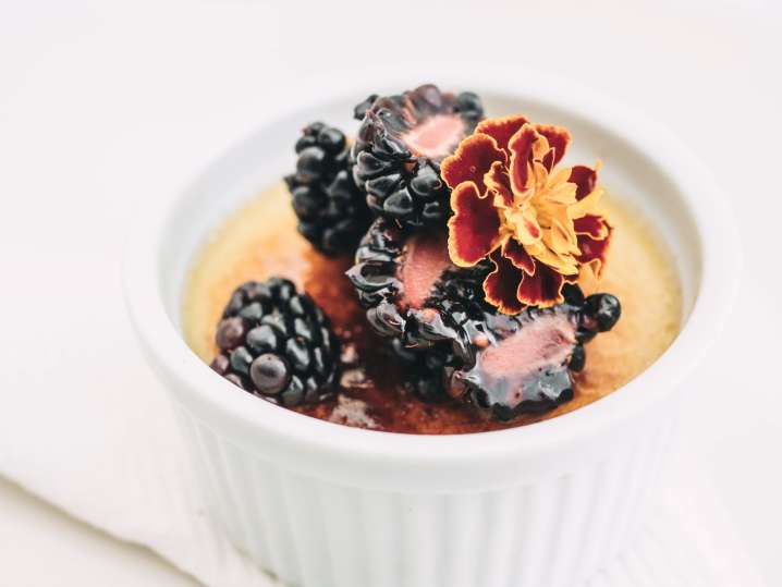 crema catalana | Classpop Shot