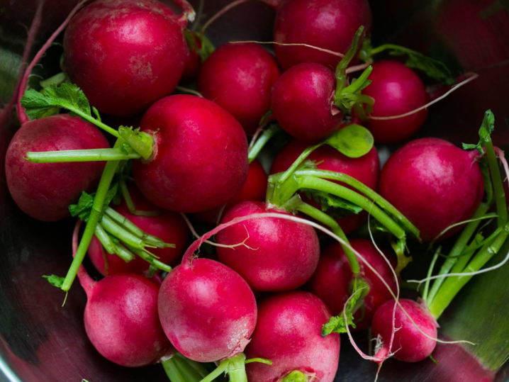 radishes | Classpop Shot