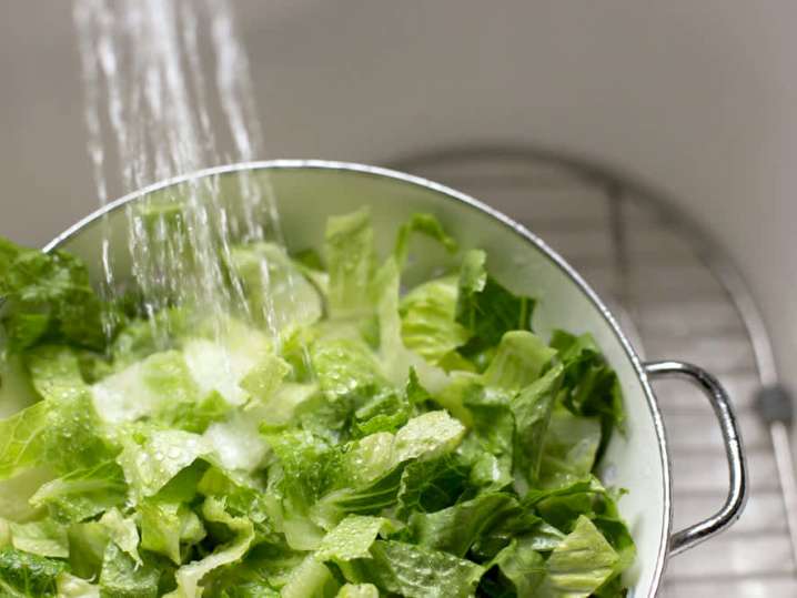 washing romaine lettuce | Classpop Shot