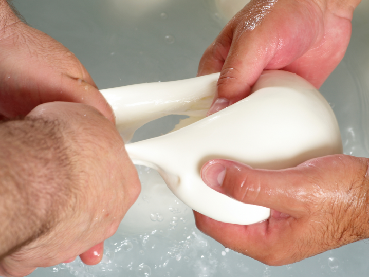 Phoenix - handmade mozzarella Shot