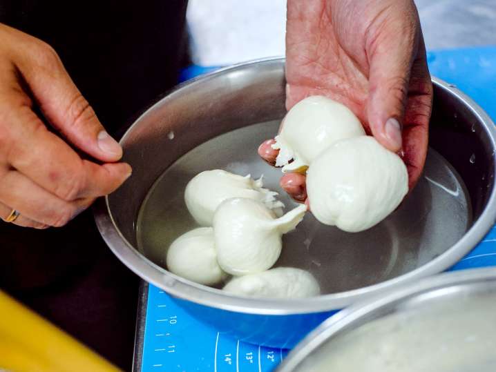 making homemade mozzarella | Classpop Shot