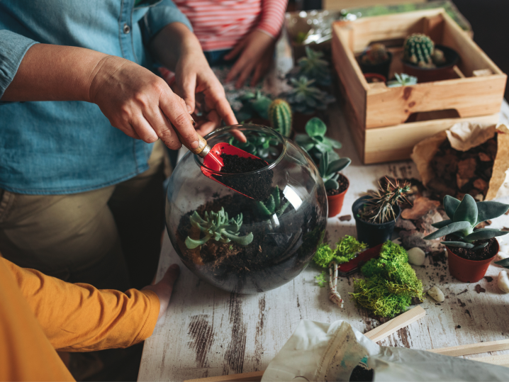 Bay Area - planting succulents Shot